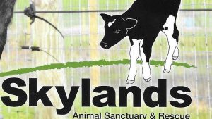 skylandfarm