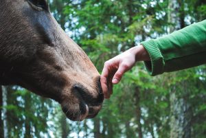 A healing connection...